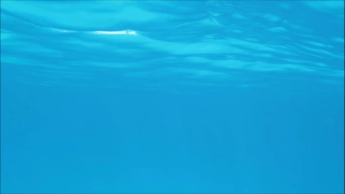 MEXICAN CARIBBEAN